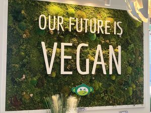   at G-Monkey in West Hartford