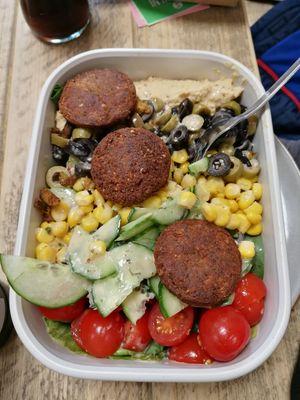  at Gustav Grün in Osnabrueck