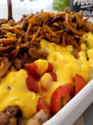  at Gustav Grün in Osnabrueck