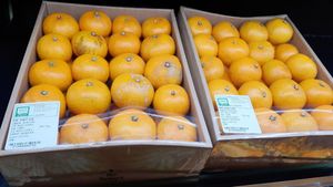 pesticide-free tangerines at The Nature Organic Food Market - 더네이처링크 용호동W스퀘어  in Busan