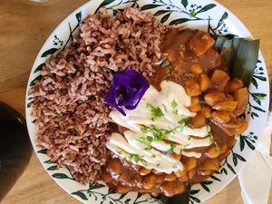 Chickpea masala at The Vegan Shack in Panglao
