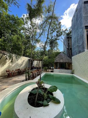 The garden  at Vegano.com in Tulum