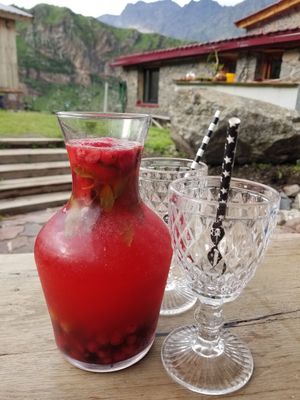 Homemade berry lemonade at Restaurant Maisi - რესტორანი მაისი in Stepantsminda
