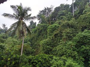  at Murni's Warung in Ubud