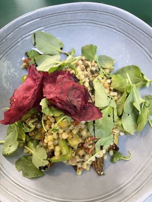 Main: Fregola sarda with ramson and morels  at Albert & Frida in Bern