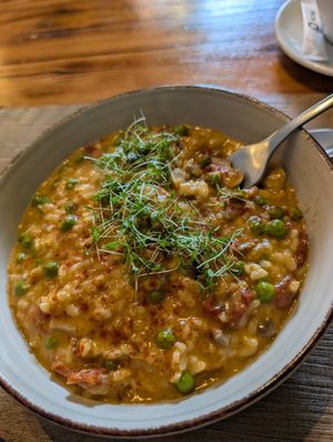 Mushroom and dried tomato risotto at GULA. in Guarda