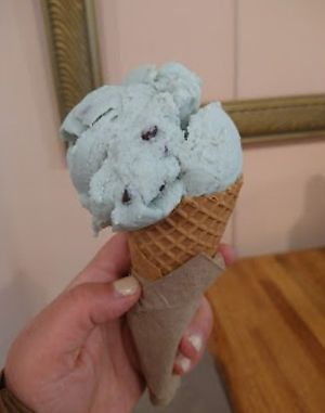 mint chocolate chip cone at Logan Vegan  in Chicago
