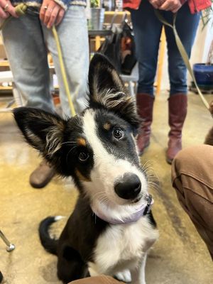  at Lemon & Jinja in Romsey