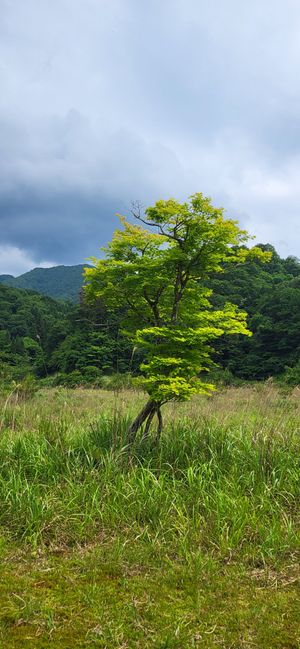  at Magatania in Maibara