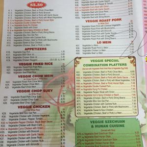 vegan menu at Empire Wok in Delmar