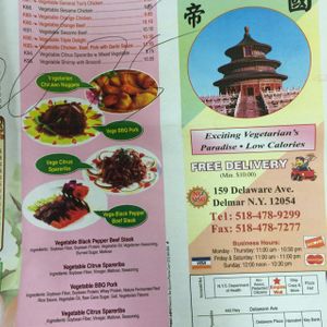 vegan menu at Empire Wok in Delmar
