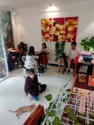  at WagWel Feline in Ho Chi Minh City