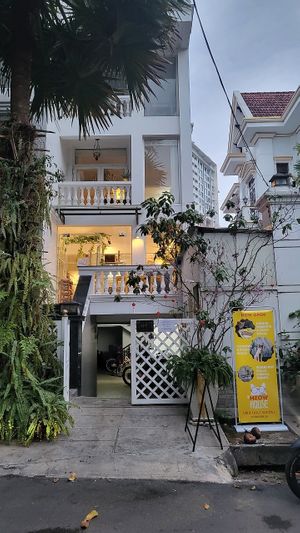  at WagWel Feline in Ho Chi Minh City