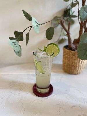  at WagWel Feline in Ho Chi Minh City