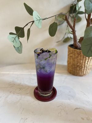  at WagWel Feline in Ho Chi Minh City