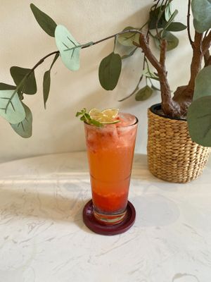  at WagWel Feline in Ho Chi Minh City