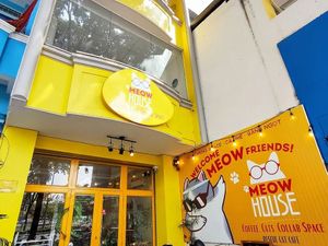  at WagWel Feline in Ho Chi Minh City