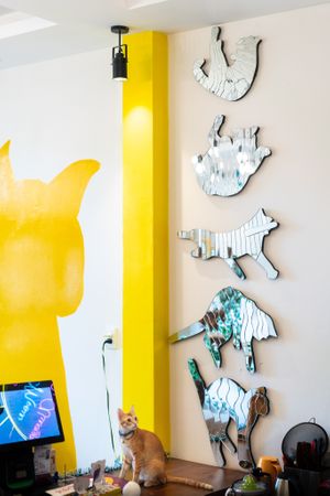  at WagWel Feline in Ho Chi Minh City