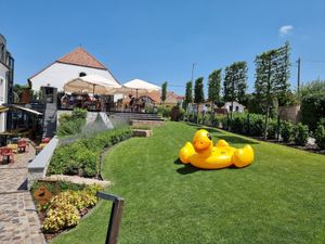 Garden at Malom és Kacsa in Tata