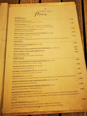  at Malom és Kacsa in Tata