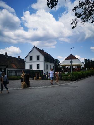  at Malom és Kacsa in Tata