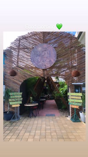   at Agni Vital Kitchen in Bacalar