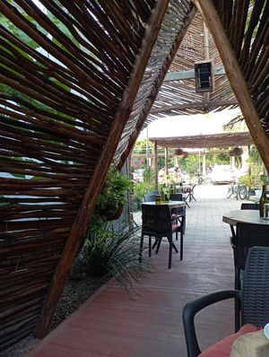  at Agni Vital Kitchen in Bacalar