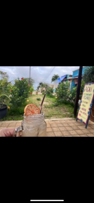 Pineapple Kombucha   at Agni Vital Kitchen in Bacalar