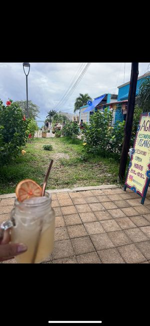   at Agni Vital Kitchen in Bacalar