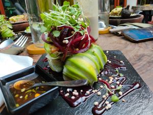 Thai rolls at Agni Vital Kitchen in Bacalar