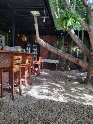  at Agni Vital Kitchen in Bacalar