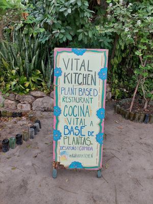  at Agni Vital Kitchen in Bacalar