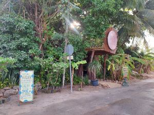 Outside at Agni Vital Kitchen in Bacalar