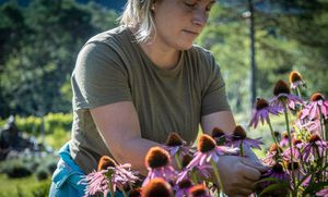 Elisa in the herbs garden at Agriturismo Bosc del Meneghì - B&B in Ledro