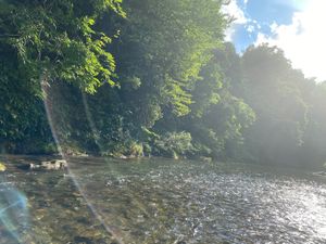 レストランの敷地に流れる川 at Leaves of Grass in Wakayama