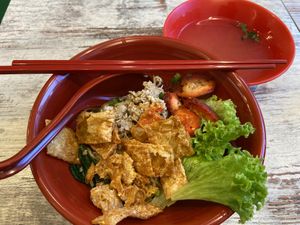 Kolo Mee Dry   at Kang Su Vegetarian 康素 - Orchard in Central Singapore