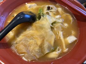 Tom yum ban Mian  at Kang Su Vegetarian 康素 - Orchard in Central Singapore