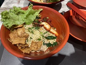 Kolo mee dry at Kang Su Vegetarian 康素 - Orchard in Central Singapore