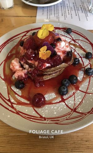   at Foliage Cafe in Bristol