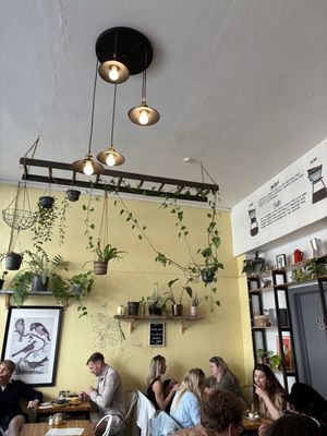   at Foliage Cafe in Bristol
