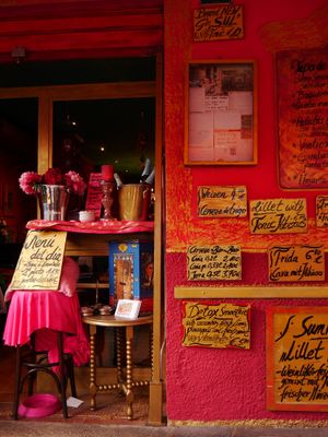 Coto at Coto in Mallorca