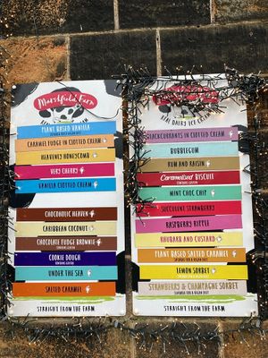 Ice cream options (see bottom for vegan) #Veganuary at Mr. Beans in Todmorden