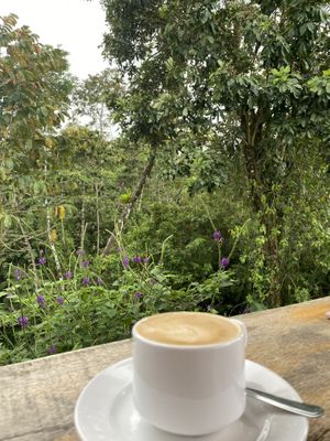   at Cafe Metropoli in La Fortuna