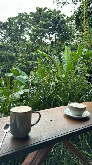   at Cafe Metropoli in La Fortuna