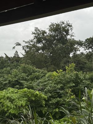   at Cafe Metropoli in La Fortuna