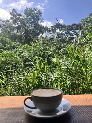   at Cafe Metropoli in La Fortuna