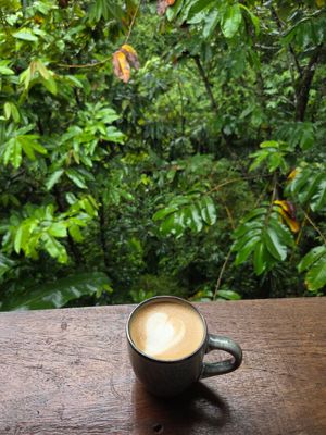  at Cafe Metropoli in La Fortuna