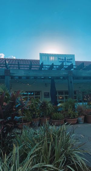 outside   at Bartaco in Orlando