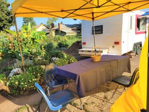  at The Vegan Farmer in Eugene