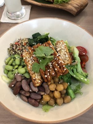Super protein bowl  at Moringa Plant-Based Restaurant in Kuta